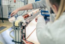 New proteins to revolutionize gluten-free baked goods