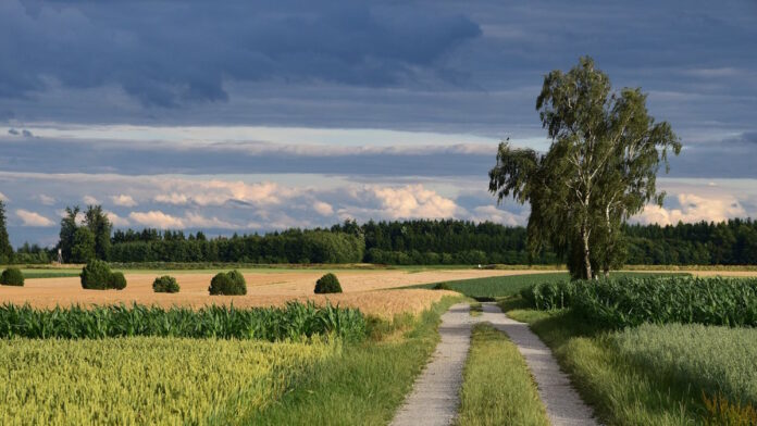 agriculture Germany fields