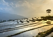 Research looks at improving agriculture for safety and health