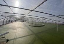 Plantible Foods raises $30m to meet protein demand