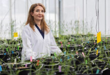 Study confirms Lucent Bio’s fertilisers turn farming climate-positive